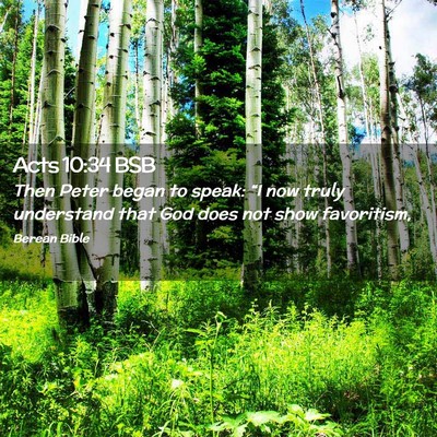 Picture 02 - Acts 10:34 BSB - Then Peter began to speak: “I now truly - Bible Verse Picture
