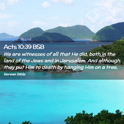 Picture 02 - Acts 10:39 BSB - We are witnesses of all that He did, both in the - Bible Verse Picture
