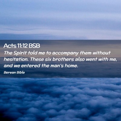 Picture 02 - Acts 11:12 BSB - The Spirit told me to accompany them without - Bible Verse Picture