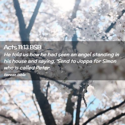Picture 02 - Acts 11:13 BSB - He told us how he had seen an angel standing in - Bible Verse Picture