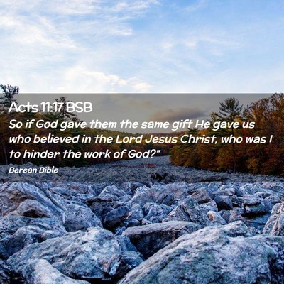 Picture 02 - Acts 11:17 BSB - So if God gave them the same gift He gave us who - Bible Verse Picture