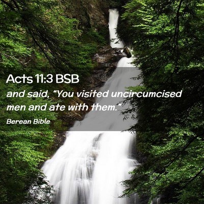 Picture 02 - Acts 11:3 BSB - and said, “You visited uncircumcised men and - Bible Verse Picture