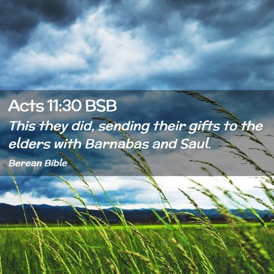 Picture 02 - Acts 11:30 BSB - This they did, sending their gifts to the elders - Bible Verse Picture