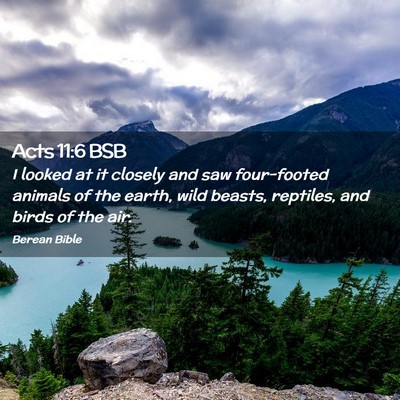 Picture 02 - Acts 11:6 BSB - I looked at it closely and saw four-footed - Bible Verse Picture