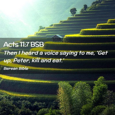 Picture 02 - Acts 11:7 BSB - Then I heard a voice saying to me, ‘Get up, - Bible Verse Picture