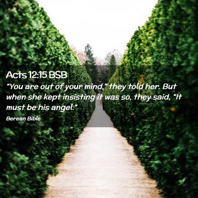 Picture 02 - Acts 12:15 BSB - “You are out of your mind,” they told her. - Bible Verse Picture