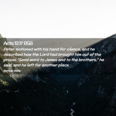Picture 02 - Acts 12:17 BSB - Peter motioned with his hand for silence, and he - Bible Verse Picture