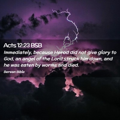 Picture 02 - Acts 12:23 BSB - Immediately, because Herod did not give glory to - Bible Verse Picture