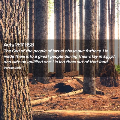 Picture 02 - Acts 13:17 BSB - The God of the people of Israel chose our - Bible Verse Picture