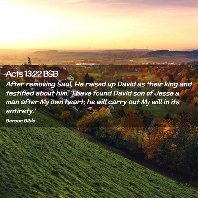 Picture 02 - Acts 13:22 BSB - After removing Saul, He raised up David as their - Bible Verse Picture