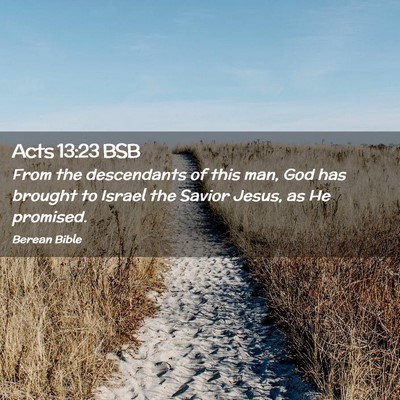 Picture 02 - Acts 13:23 BSB - From the descendants of this man, God has brought - Bible Verse Picture