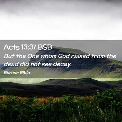 Picture 02 - Acts 13:37 BSB - But the One whom God raised from the dead did not - Bible Verse Picture