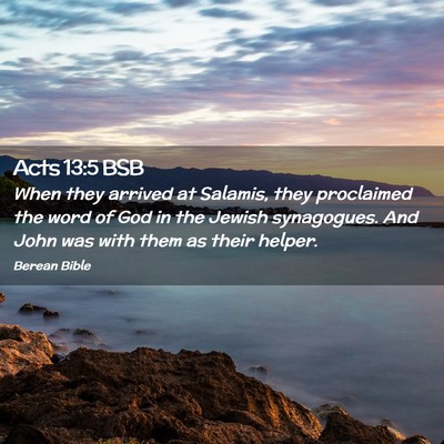 Picture 02 - Acts 13:5 BSB - When they arrived at Salamis, they proclaimed the - Bible Verse Picture