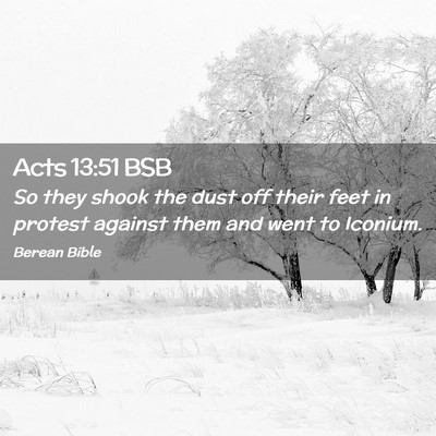 Picture 02 - Acts 13:51 BSB - So they shook the dust off their feet in protest - Bible Verse Picture