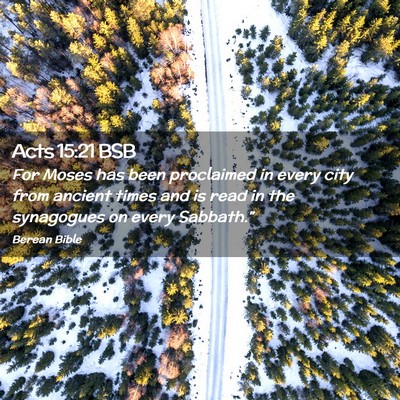 Picture 02 - Acts 15:21 BSB - For Moses has been proclaimed in every city from - Bible Verse Picture
