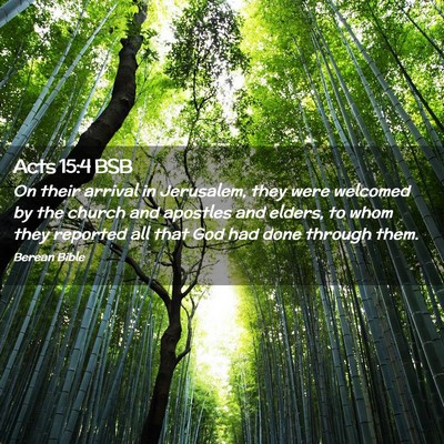 Picture 02 - Acts 15:4 BSB - On their arrival in Jerusalem, they were welcomed - Bible Verse Picture