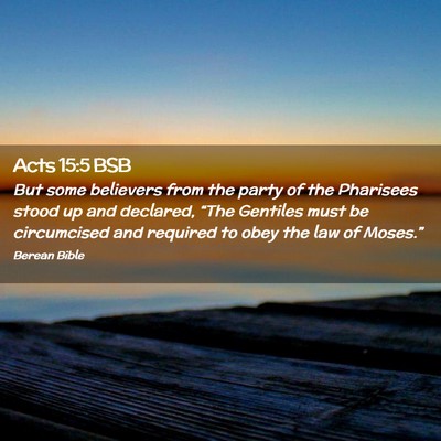 Picture 02 - Acts 15:5 BSB - But some believers from the party of the - Bible Verse Picture