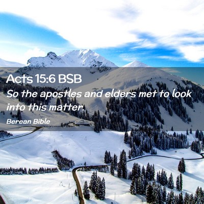 Picture 02 - Acts 15:6 BSB - So the apostles and elders met to look into this - Bible Verse Picture