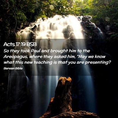 Picture 02 - Acts 17:19 BSB - So they took Paul and brought him to the - Bible Verse Picture