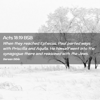 Picture 02 - Acts 18:19 BSB - When they reached Ephesus, Paul parted ways with - Bible Verse Picture
