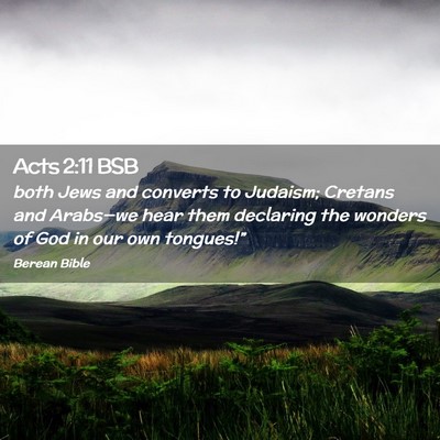Picture 02 - Acts 2:11 BSB - both Jews and converts to Judaism; Cretans and - Bible Verse Picture