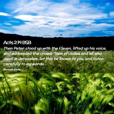 Picture 02 - Acts 2:14 BSB - Then Peter stood up with the Eleven, lifted up - Bible Verse Picture