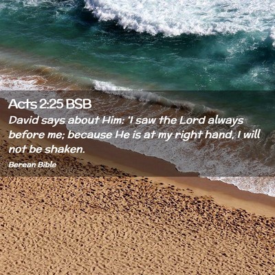 Picture 02 - Acts 2:25 BSB - David says about Him: ‘I saw the Lord always - Bible Verse Picture