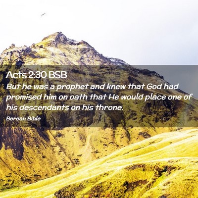Picture 02 - Acts 2:30 BSB - But he was a prophet and knew that God had - Bible Verse Picture
