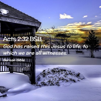 Picture 02 - Acts 2:32 BSB - God has raised this Jesus to life, to which we - Bible Verse Picture
