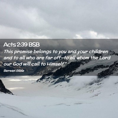 Picture 02 - Acts 2:39 BSB - This promise belongs to you and your children and - Bible Verse Picture