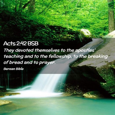 Picture 02 - Acts 2:42 BSB - They devoted themselves to the apostles’ - Bible Verse Picture