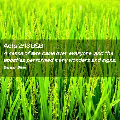 Picture 02 - Acts 2:43 BSB - A sense of awe came over everyone, and the - Bible Verse Picture