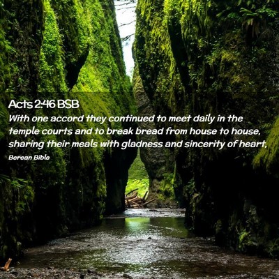 Picture 02 - Acts 2:46 BSB - With one accord they continued to meet daily in - Bible Verse Picture