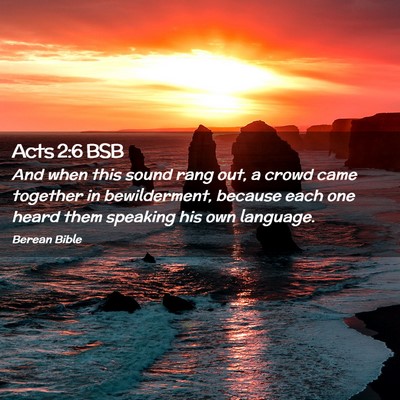 Picture 02 - Acts 2:6 BSB - And when this sound rang out, a crowd came - Bible Verse Picture