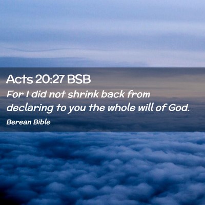 Picture 02 - Acts 20:27 BSB - For I did not shrink back from declaring to you - Bible Verse Picture