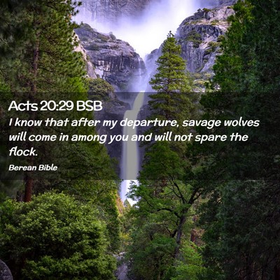 Picture 02 - Acts 20:29 BSB - I know that after my departure, savage wolves - Bible Verse Picture
