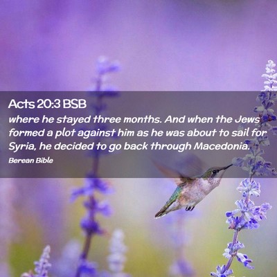 Picture 02 - Acts 20:3 BSB - where he stayed three months. And when the Jews - Bible Verse Picture
