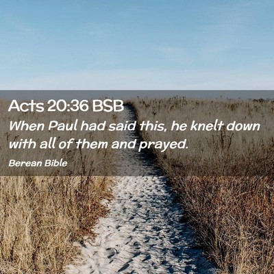 Picture 02 - Acts 20:36 BSB - When Paul had said this, he knelt down with all - Bible Verse Picture