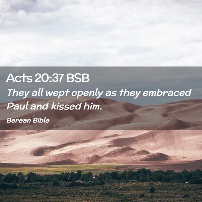 Picture 02 - Acts 20:37 BSB - They all wept openly as they embraced Paul and - Bible Verse Picture