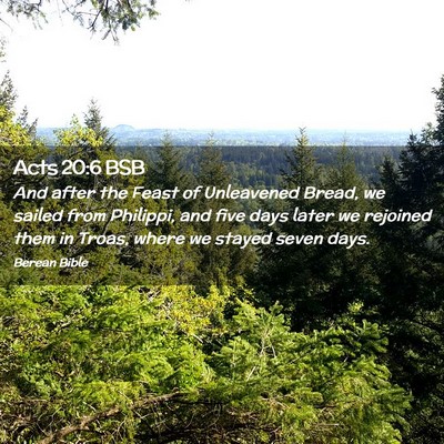Picture 02 - Acts 20:6 BSB - And after the Feast of Unleavened Bread, we - Bible Verse Picture