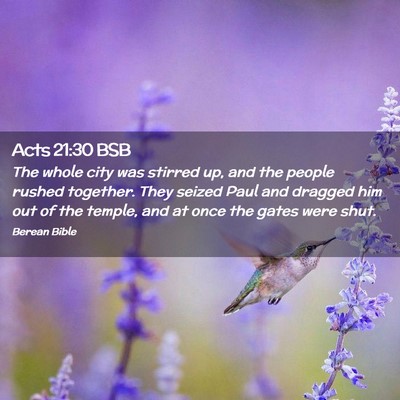 Picture 02 - Acts 21:30 BSB - The whole city was stirred up, and the people - Bible Verse Picture