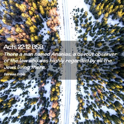 Picture 02 - Acts 22:12 BSB - There a man named Ananias, a devout observer of - Bible Verse Picture