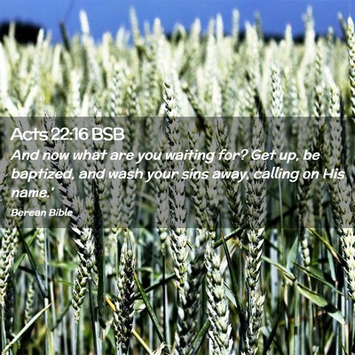 Picture 02 - Acts 22:16 BSB - And now what are you waiting for? Get up, be - Bible Verse Picture