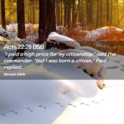 Picture 02 - Acts 22:28 BSB - “I paid a high price for my citizenship,” - Bible Verse Picture