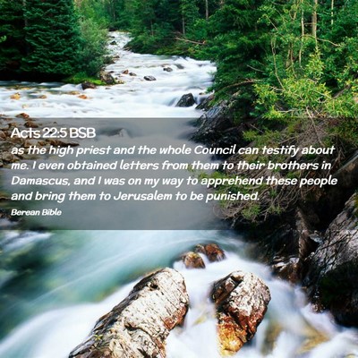 Picture 02 - Acts 22:5 BSB - as the high priest and the whole Council can - Bible Verse Picture