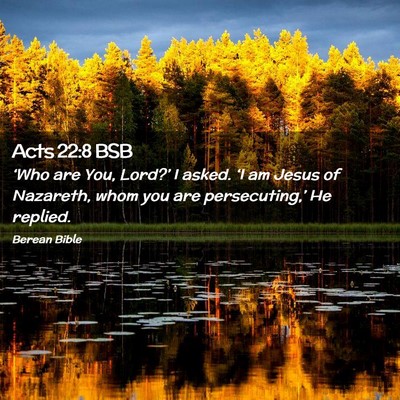 Picture 02 - Acts 22:8 BSB - ‘Who are You, Lord?’ I asked. ‘I am Jesus - Bible Verse Picture