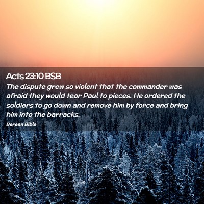 Picture 02 - Acts 23:10 BSB - The dispute grew so violent that the commander - Bible Verse Picture