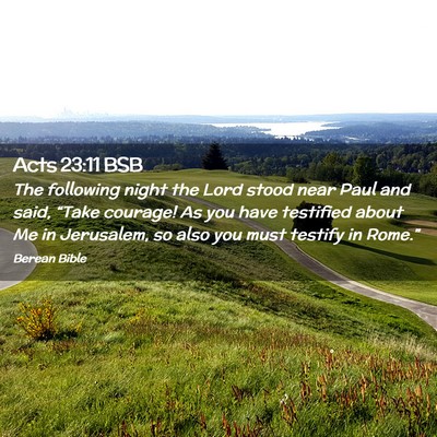 Picture 02 - Acts 23:11 BSB - The following night the Lord stood near Paul and - Bible Verse Picture