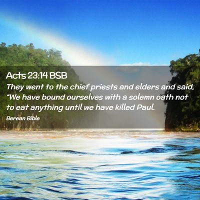Picture 02 - Acts 23:14 BSB - They went to the chief priests and elders and - Bible Verse Picture