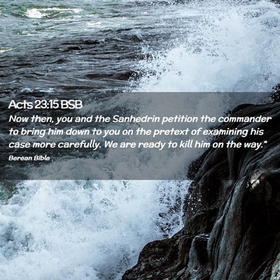 Picture 02 - Acts 23:15 BSB - Now then, you and the Sanhedrin petition the - Bible Verse Picture